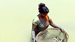 Village Women Fishing Video