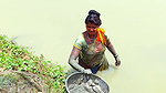 Village Women Fishing Video