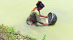 Village Women Fishing Video