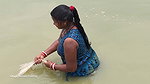 Village women net fishing in Village Pond   Lots o