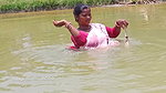 Village Women Net fishing   full Net Paku fish