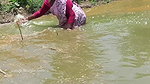 Village Women Net fishing   full Net Paku fish