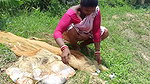 Village Women Net fishing   full Net Paku fish