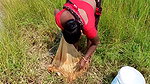 Village Women Net Fishing