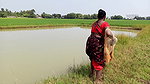 Village Women Net Fishing