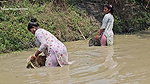 Village Women New Amazing Net Fishing video    Mou