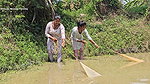 Village Women New Amazing Net Fishing video    Mou