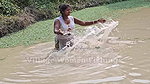 Village Women New Net fishing video    Mouni Fishi