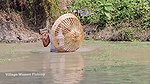 Village Women New Net fishing video    Mouni Fishi