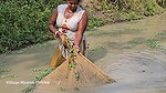 Village Women New Net fishing video    Mouni Fishi