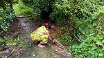 Village Women New Net fishing video 1