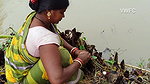 Village Women New Net fishing video 1