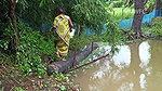 Village Women New Net fishing video 1