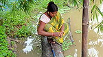 Village Women New Net fishing video 1