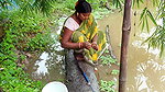 Village Women New Net fishing video 1