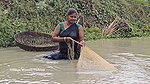 x   Village Women New Net fishing video 2