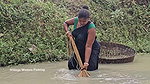 x   Village Women New Net fishing video 2