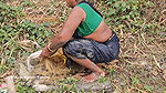 x   Village Women New Net fishing video 2