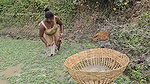 Village Women New Net fishing video 3