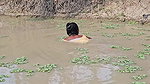 Village Women New Net fishing video 3