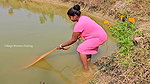 Village Women New Net fishing video 4