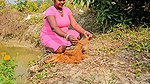 Village Women New Net fishing video 4