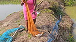 Village Women New Net fishing video 4