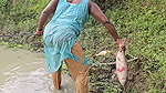 Village Women New Net fishing video 5