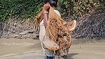Village Women New Net fishing video 6