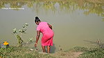 Village Women New Net fishing video 8