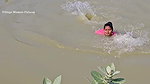 Village Women New Net fishing video 8