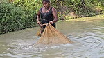 Village Women New Net fishing video 9