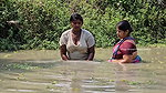Village Women New Net fishing video 10