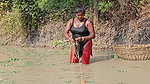 Village Women New Net fishing video 11