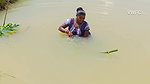 Village Women New Net fishing video 13