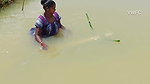 Village Women New Net fishing video 13