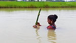 Village Women New Net fishing video 14