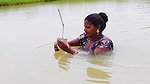 Village Women New Net fishing video 14
