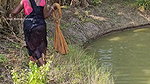 Village Women New Net fishing video 15