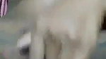 Bigboob Hairy Pussy Village Girl Fingering