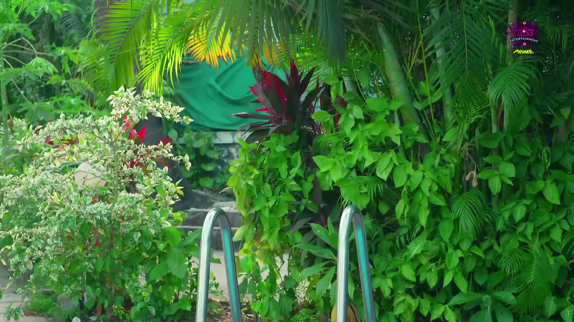Frame 10