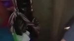 Gf Fucking with lover