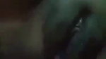 Horny Bhabi showing