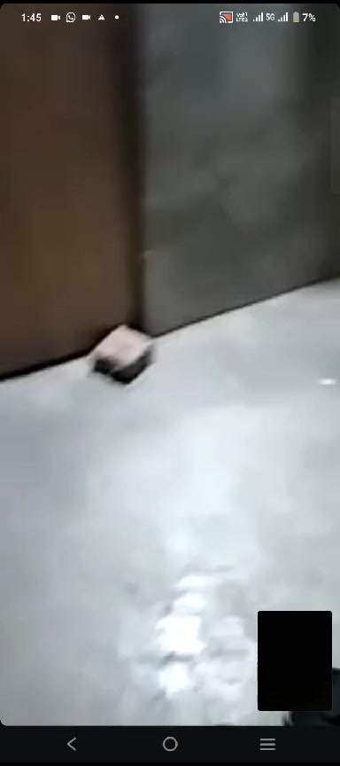 Frame 10