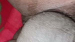 Desi Ranita sucking my penis