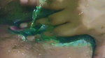 Beautiful Horny GF Showing, Playing With Boobies And Fingering updates (2)4