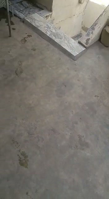 Bhabhi Fucking Caught by Neighbour (2)2