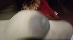 Chubby Indian Horny Gf Showing updates (2)10
