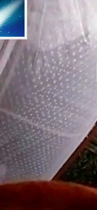 Desi Cute Bhabhi 1to1 cam show boobs (2)2