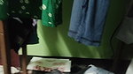 G__6_(1)